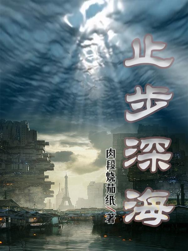 止步爱你小说